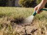 Rasenpflege im August bei Hitze
