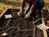 Überarbeitung der Herbstbeetplanung