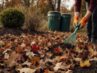 frühe intelligente Gartenblattnutzung