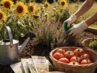 Spätsommer-Gartenarbeiten jetzt