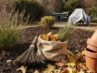 Garten im Oktober auf den Winter vorbereiten