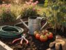 Checkliste für die Gartenpflege im Sommer