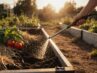 Gartenbeete effizient bewässern